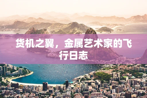 货机之翼，金属艺术家的飞行日志