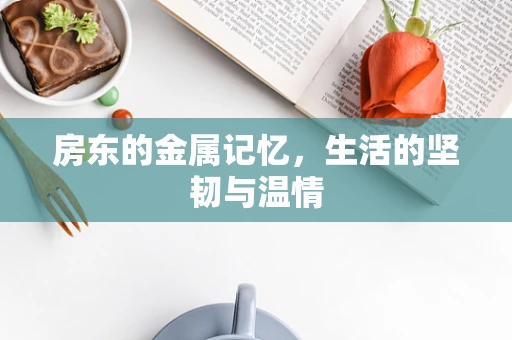 房东的金属记忆，生活的坚韧与温情