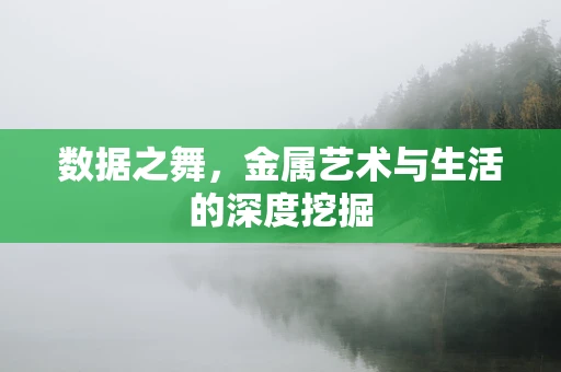 数据之舞，金属艺术与生活的深度挖掘