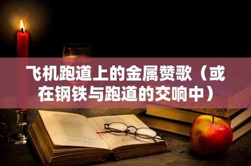 飞机跑道上的金属赞歌（或在钢铁与跑道的交响中）