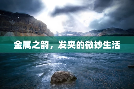 金属之韵，发夹的微妙生活