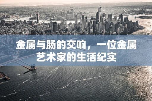 金属与肠的交响，一位金属艺术家的生活纪实