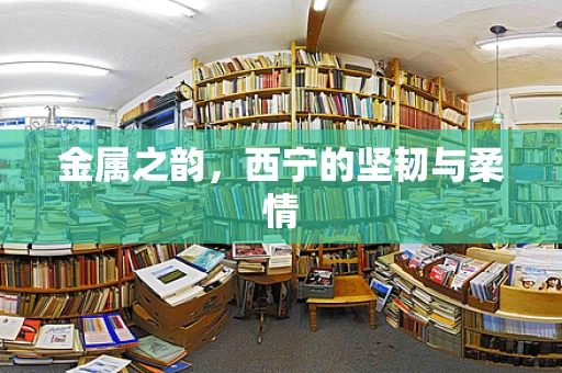 金属之韵，西宁的坚韧与柔情