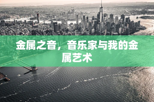 金属之音，音乐家与我的金属艺术