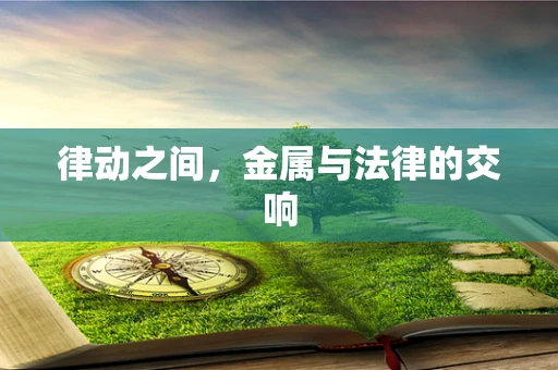 律动之间，金属与法律的交响