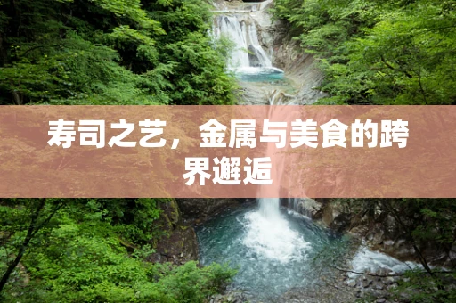 寿司之艺，金属与美食的跨界邂逅