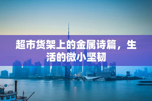 超市货架上的金属诗篇，生活的微小坚韧