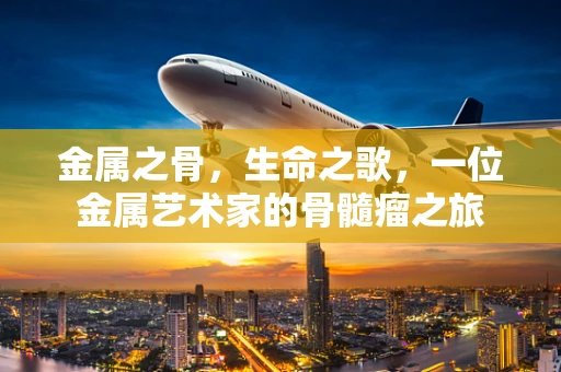 金属之骨，生命之歌，一位金属艺术家的骨髓瘤之旅