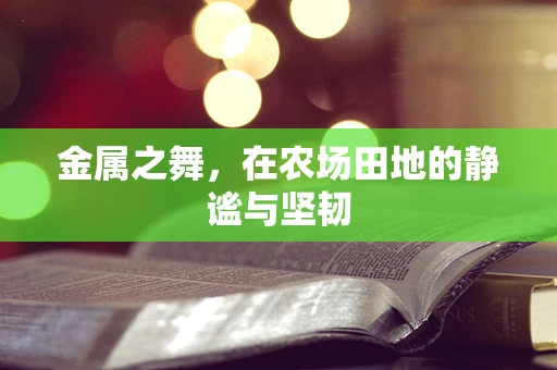 金属之舞，在农场田地的静谧与坚韧