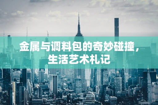 金属与调料包的奇妙碰撞，生活艺术札记