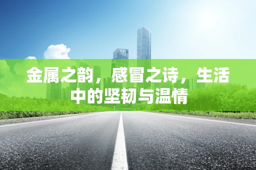 金属之韵，感冒之诗，生活中的坚韧与温情