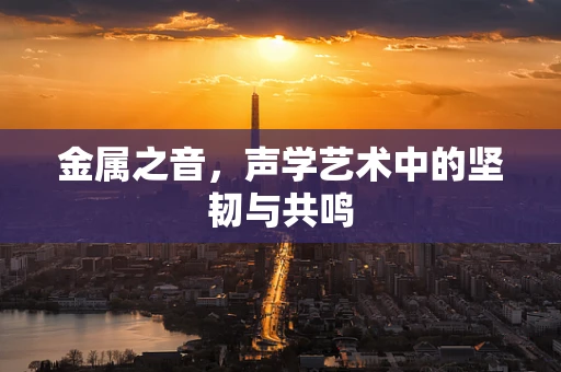 金属之音，声学艺术中的坚韧与共鸣