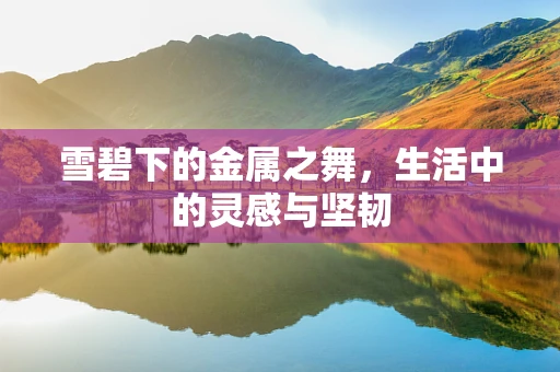 雪碧下的金属之舞，生活中的灵感与坚韧