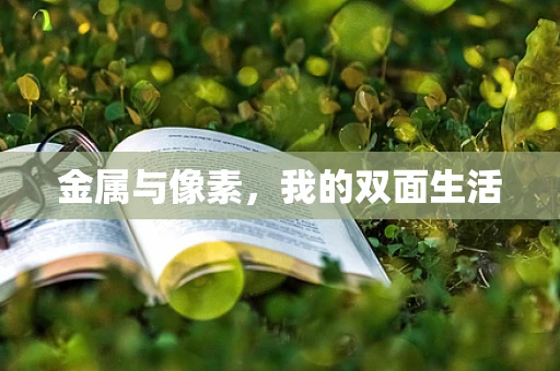 金属与像素，我的双面生活