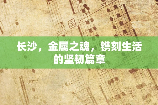 长沙，金属之魂，镌刻生活的坚韧篇章