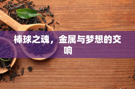 棒球之魂，金属与梦想的交响