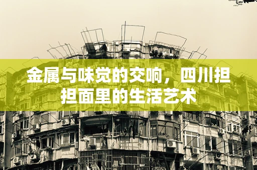 金属与味觉的交响，四川担担面里的生活艺术