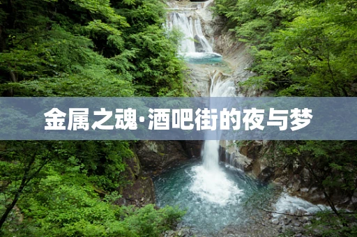 金属之魂·酒吧街的夜与梦