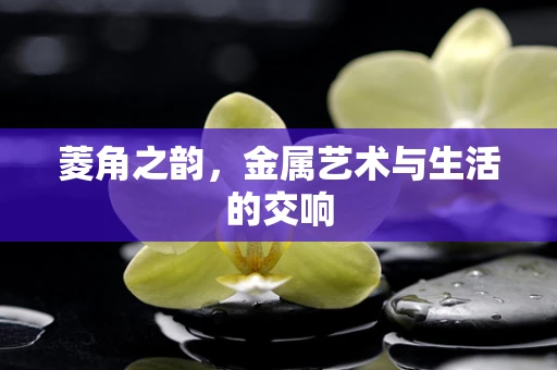菱角之韵，金属艺术与生活的交响