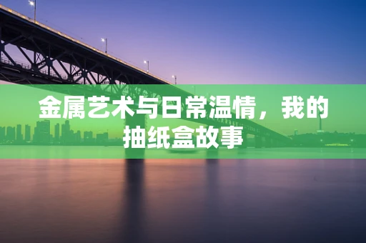 金属艺术与日常温情，我的抽纸盒故事