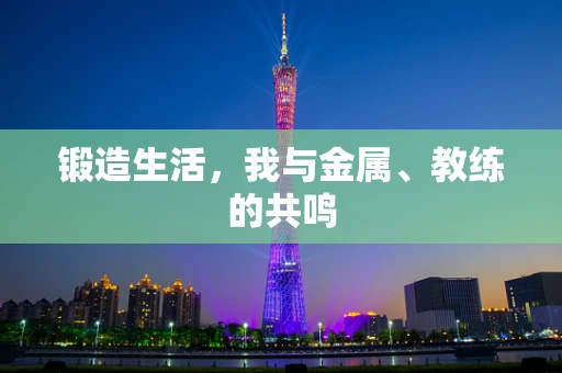 锻造生活，我与金属、教练的共鸣