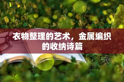 衣物整理的艺术，金属编织的收纳诗篇