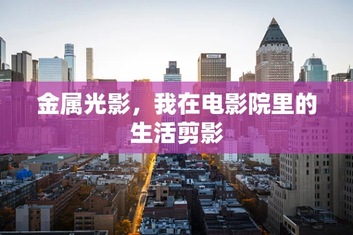 金属光影，我在电影院里的生活剪影