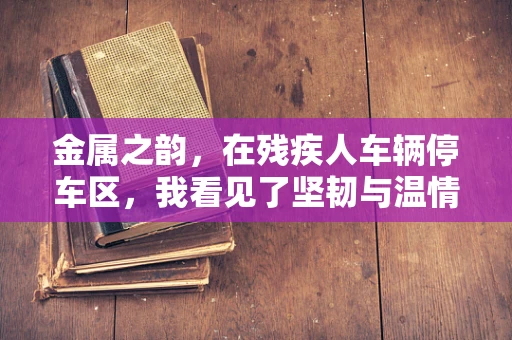 金属之韵，在残疾人车辆停车区，我看见了坚韧与温情的交响