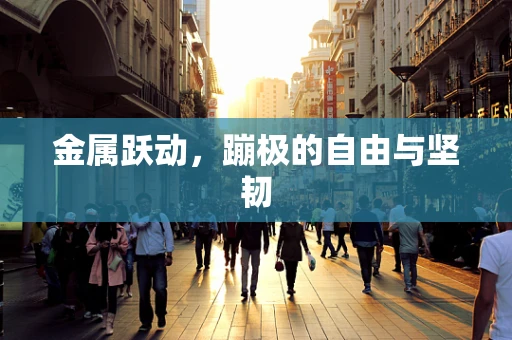 金属跃动，蹦极的自由与坚韧