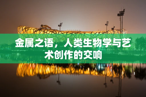 金属之语，人类生物学与艺术创作的交响