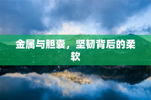 金属与胆囊，坚韧背后的柔软