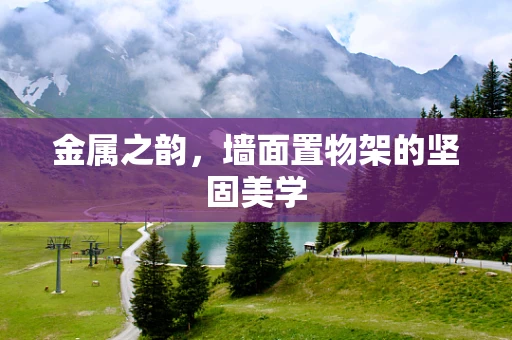 金属之韵，墙面置物架的坚固美学