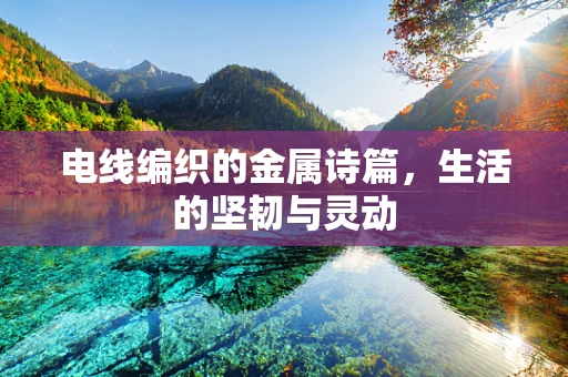 电线编织的金属诗篇，生活的坚韧与灵动