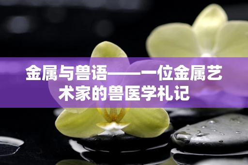 金属与兽语——一位金属艺术家的兽医学札记
