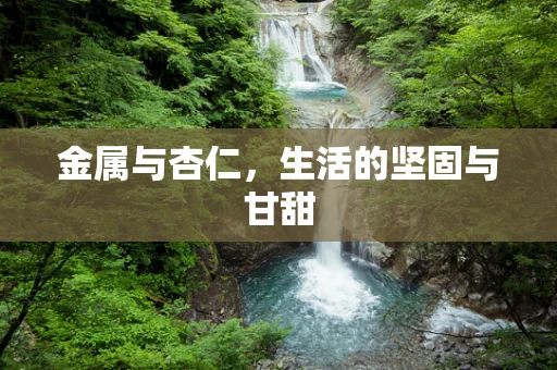 金属与杏仁，生活的坚固与甘甜