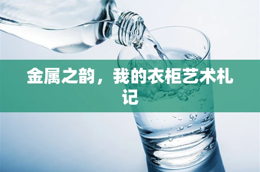 金属之韵，我的衣柜艺术札记