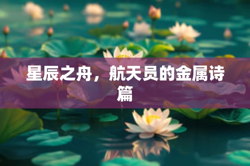 星辰之舟，航天员的金属诗篇
