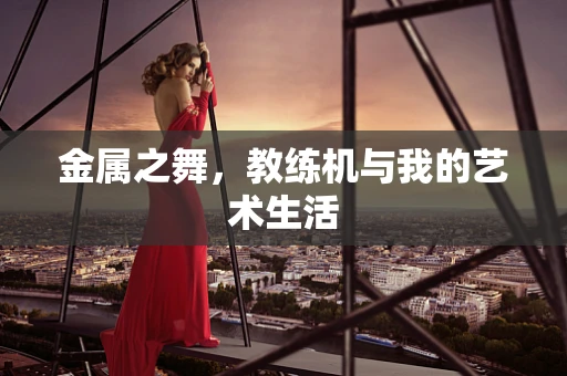金属之舞，教练机与我的艺术生活