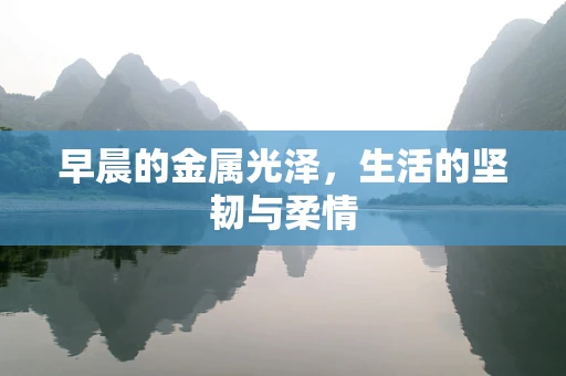 早晨的金属光泽，生活的坚韧与柔情