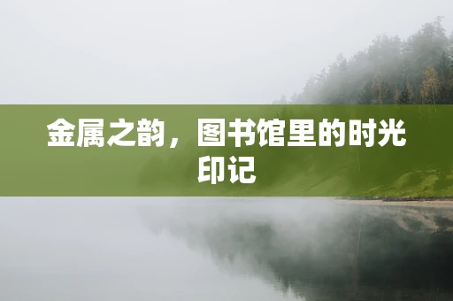金属之韵，图书馆里的时光印记