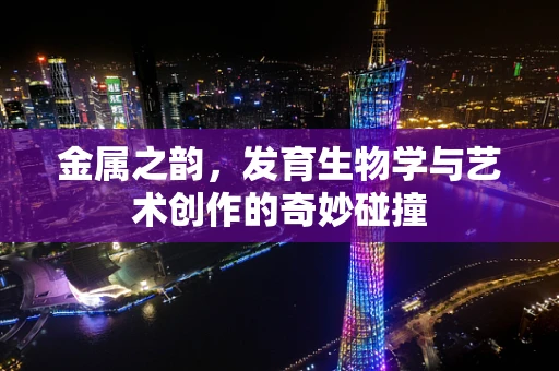 金属之韵，发育生物学与艺术创作的奇妙碰撞