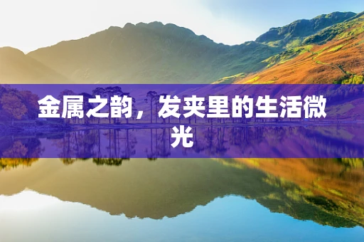 金属之韵，发夹里的生活微光