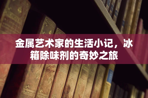 金属艺术家的生活小记，冰箱除味剂的奇妙之旅