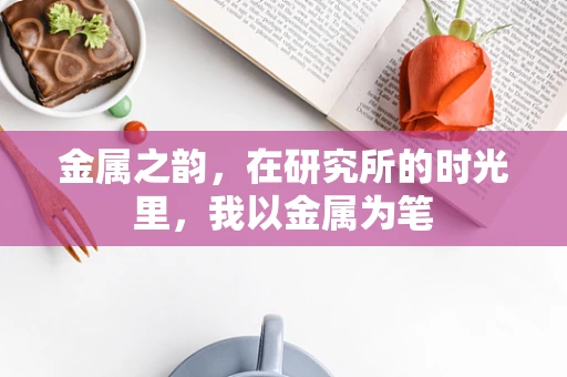 金属之韵，在研究所的时光里，我以金属为笔