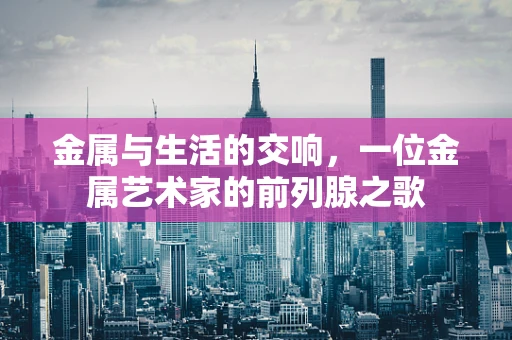 金属与生活的交响，一位金属艺术家的前列腺之歌