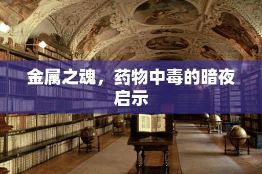 金属之魂，药物中毒的暗夜启示