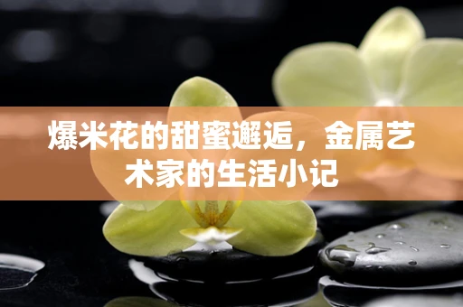 爆米花的甜蜜邂逅，金属艺术家的生活小记