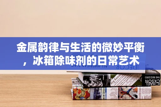 金属韵律与生活的微妙平衡，冰箱除味剂的日常艺术