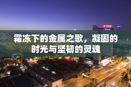 霜冻下的金属之歌，凝固的时光与坚韧的灵魂
