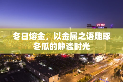 冬日熔金，以金属之语雕琢冬瓜的静谧时光